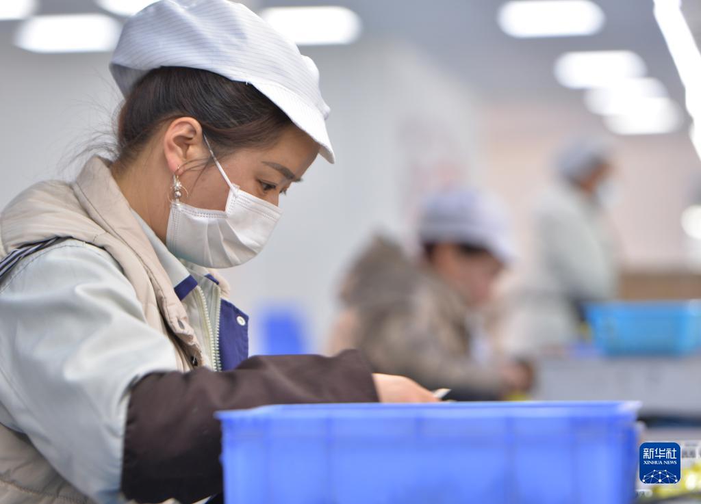 甘肃康乐:乡村就业工厂节后开工忙